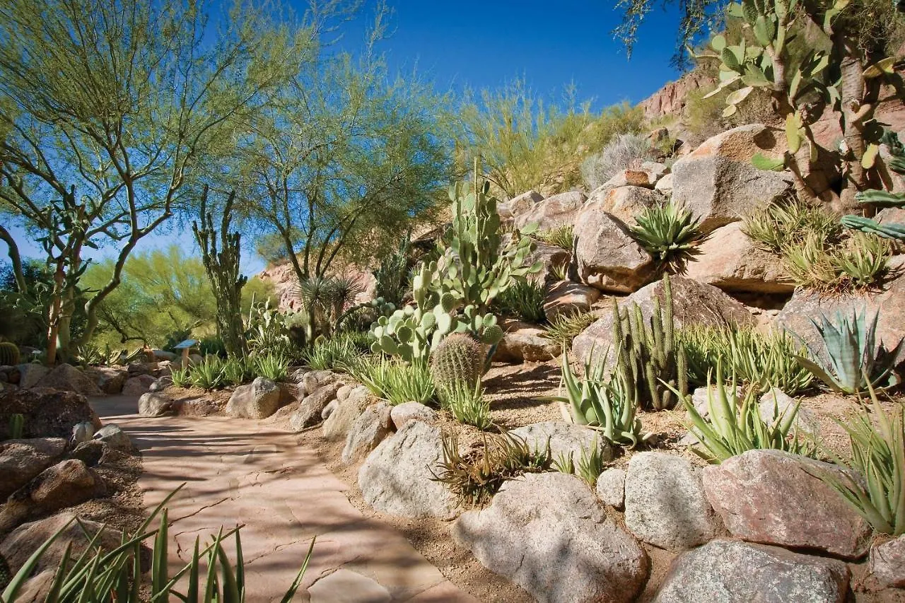 The Canyon Suites At The Phoenician, A Luxury Collection Resort, Scottsdale Paradise Valley