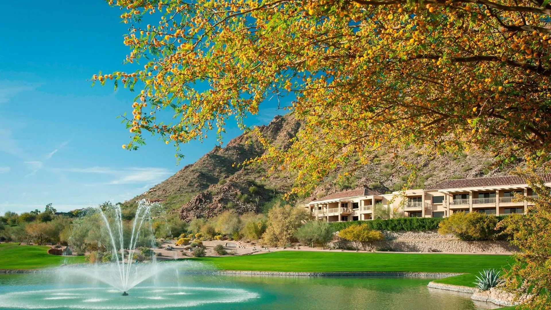 Resort The Canyon Suites At The Phoenician, A Luxury Collection Resort, Scottsdale Paradise Valley